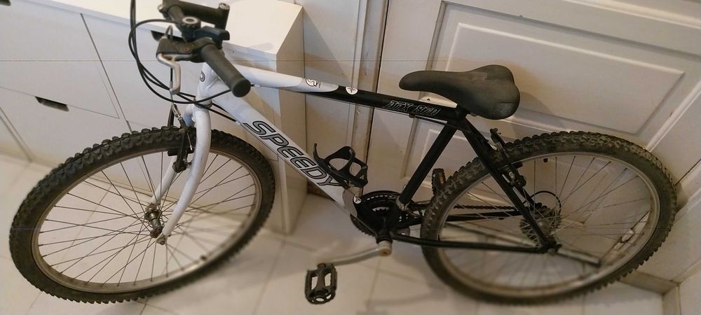 Bicicleta roda 26