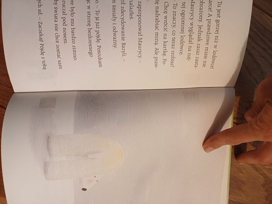 Sprzedam książkę "Dokąd niedźwiedzie wędrują nocą"