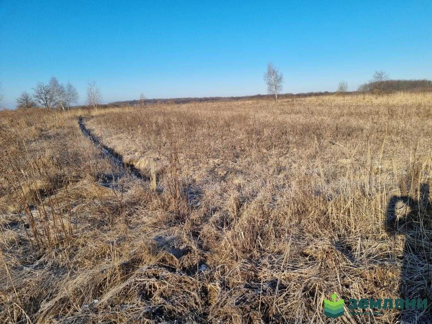Продаж земельної ділянки 12 сот під будівництво с.Колодіївка