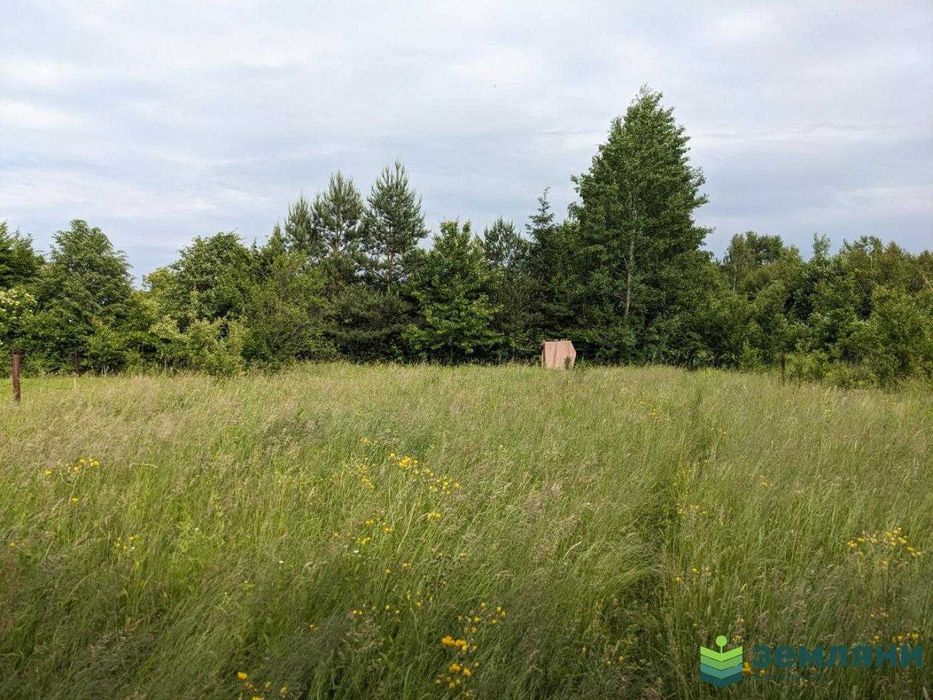 Продаж дачної ділянки 7 сот в Павлівці, СТ Чорнобиль (10)