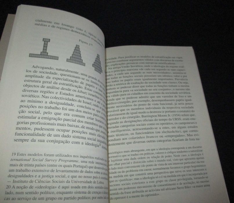 Livro A Classe Média Ascensão e Declínio Elísio Estanque FFMS