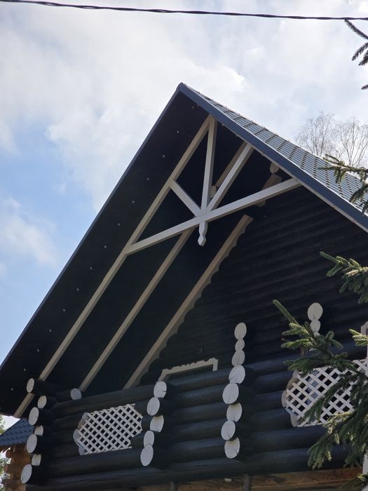 Synevyr House Житло подобово