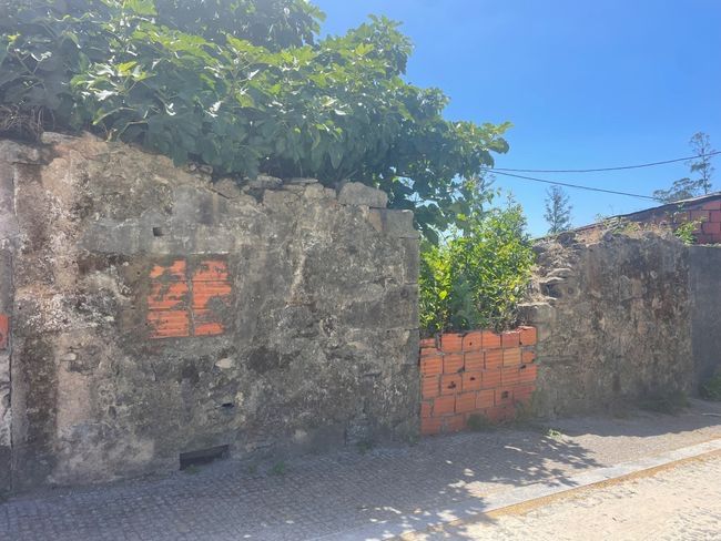Moradia para reconstrução total em Sao joao de Ver