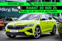 Skoda Octavia Octavia FL RS 2.0 TSI 265 KM DSG
