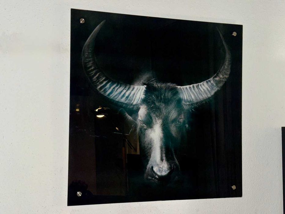 Картина зі скла 80×80 см — стильний декор / Картина из стекла