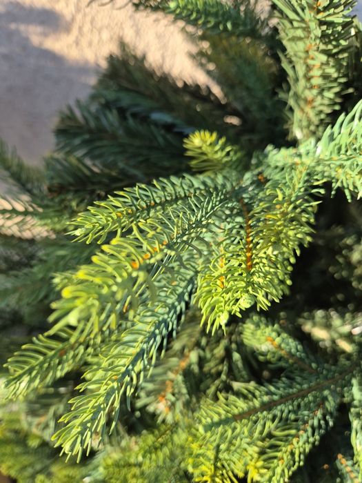 Choinki sztuczne PE  swierk skandynawski GRATISY