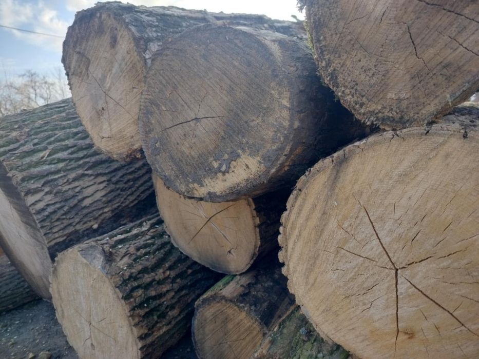 Drewno kominkowe/opałowe