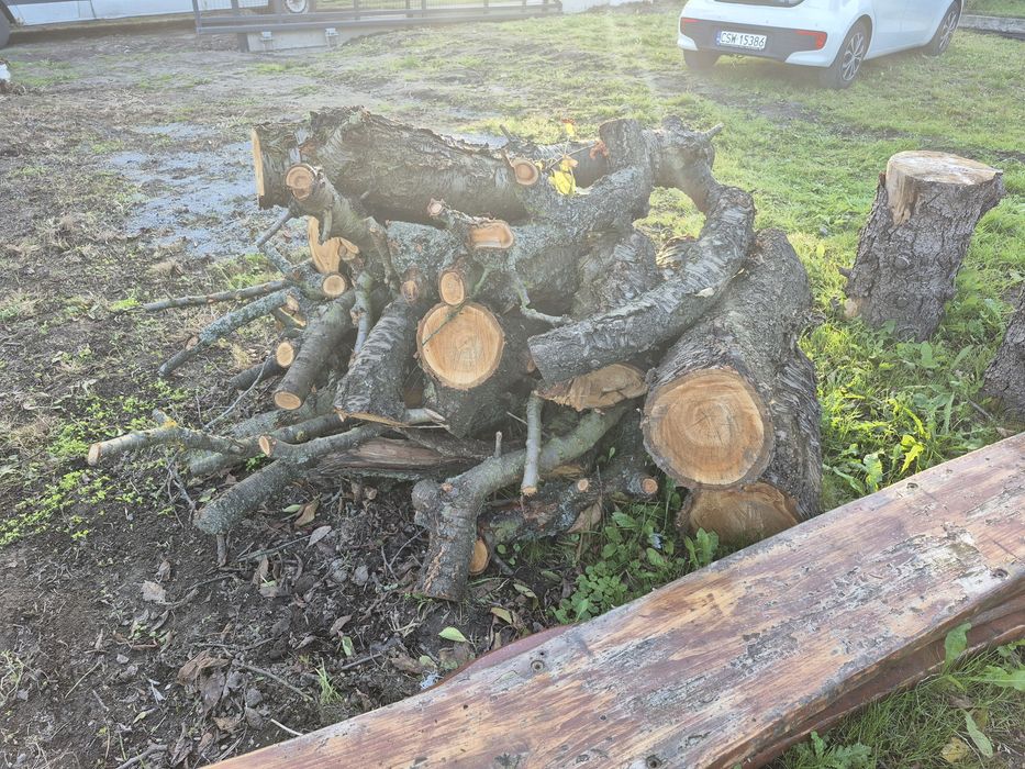 Drewno owocowe do wedzenia