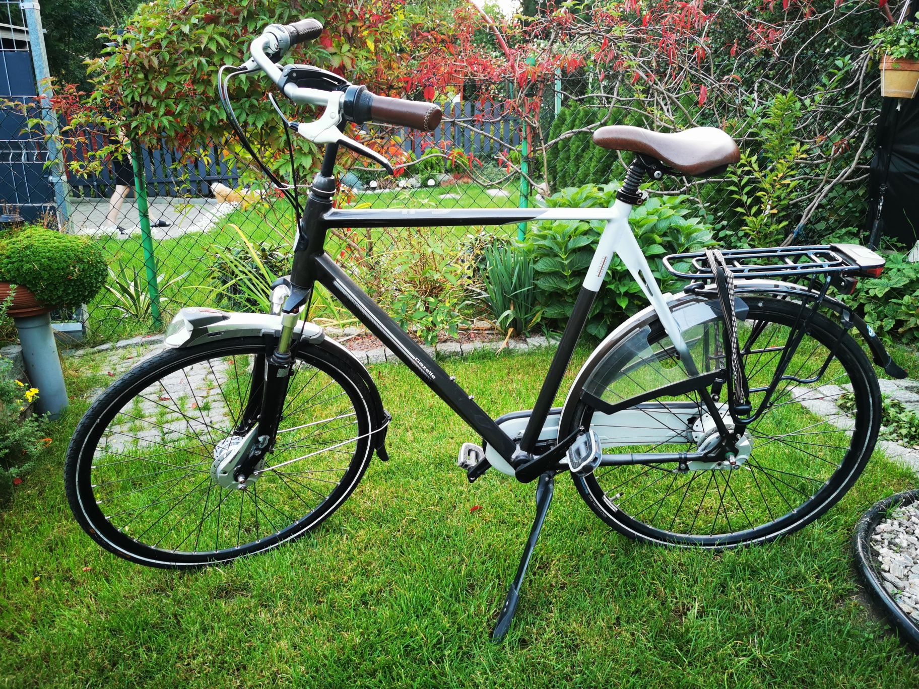 Gazelle Eclipse Limited Edition