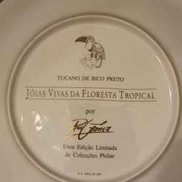Prato porcelana " jóias vivas da floresta tropical"_ Coleções Philae.