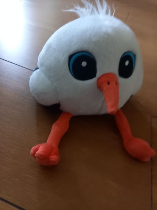 Okazja bocian gang biedronki