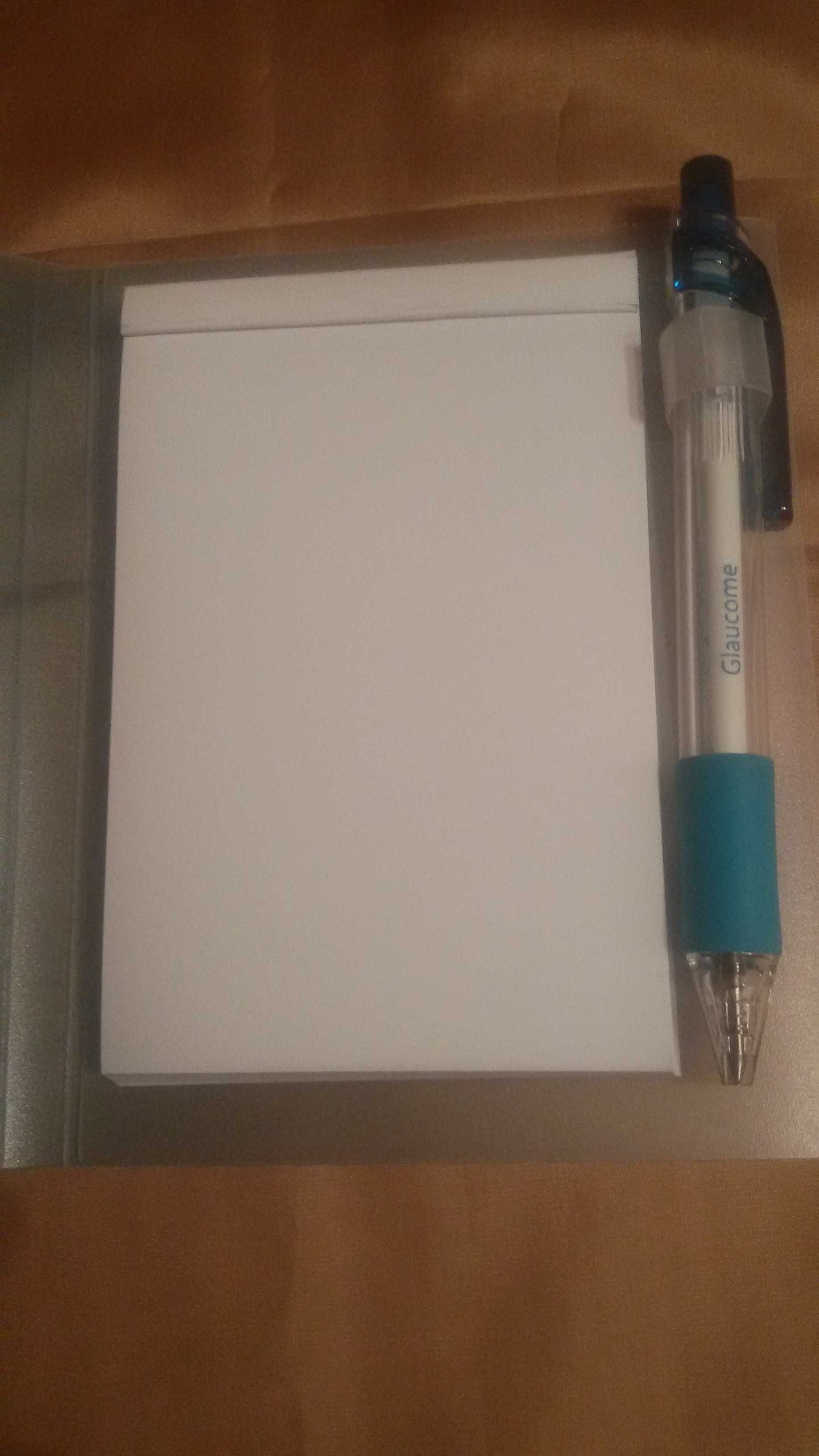 Набор - блокнот для записей + шариковая ручка.