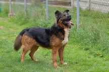 Wlad do adopcji!