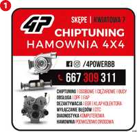 Profesjonalny chip tuning hamownia 4x4 naprawa adblue scr dpf fap