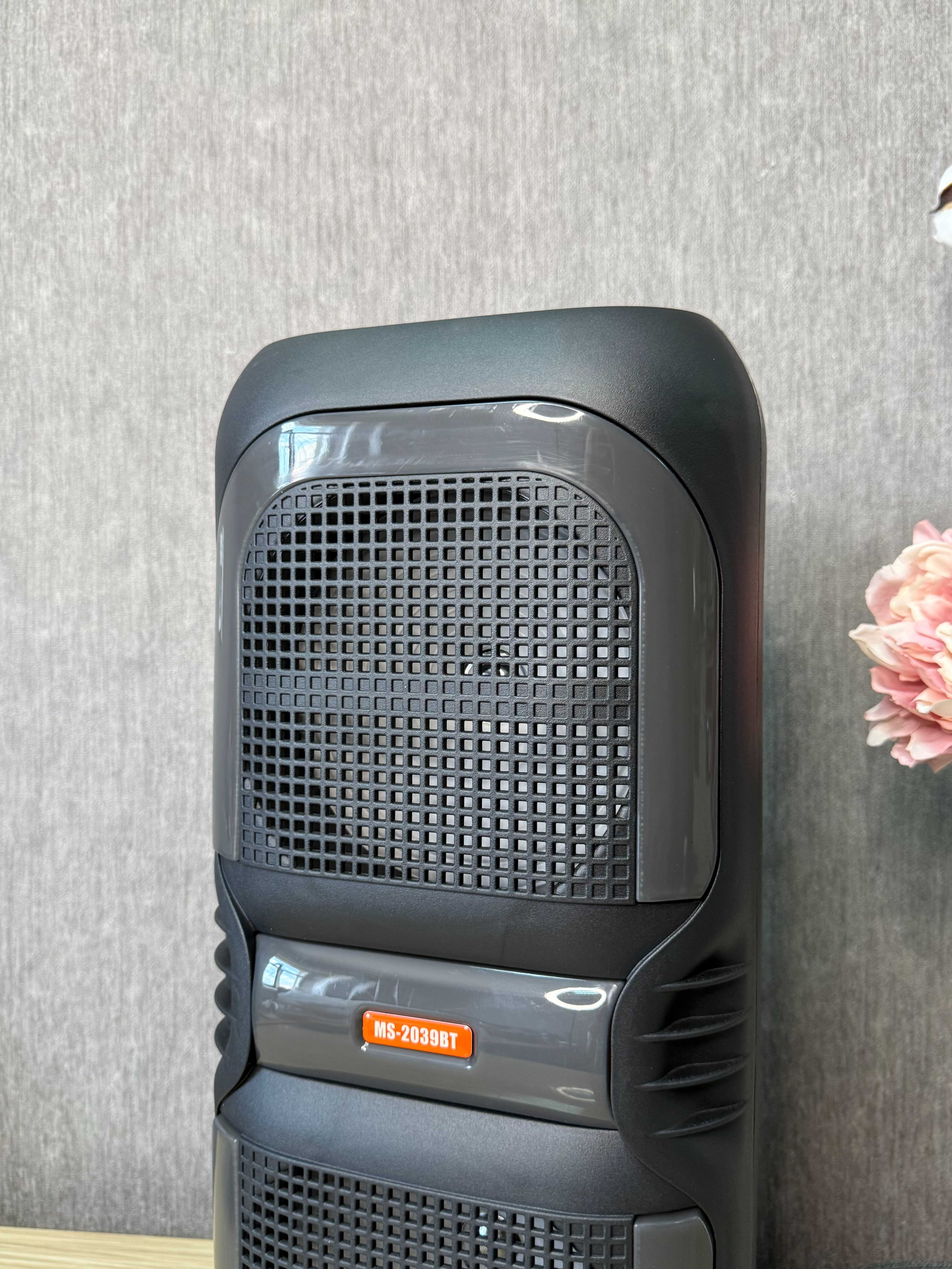 Портативная акустика-чемодан MS-2039BT 50 Вт с Bluetooth, FM-радио
