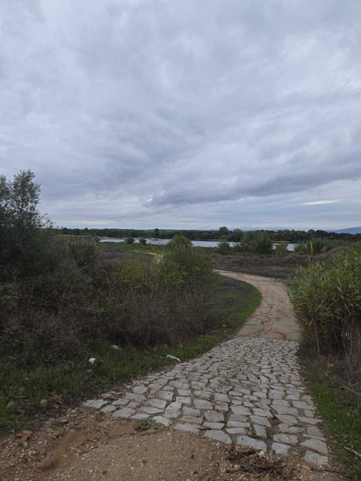 Moradia com piscina chamusca