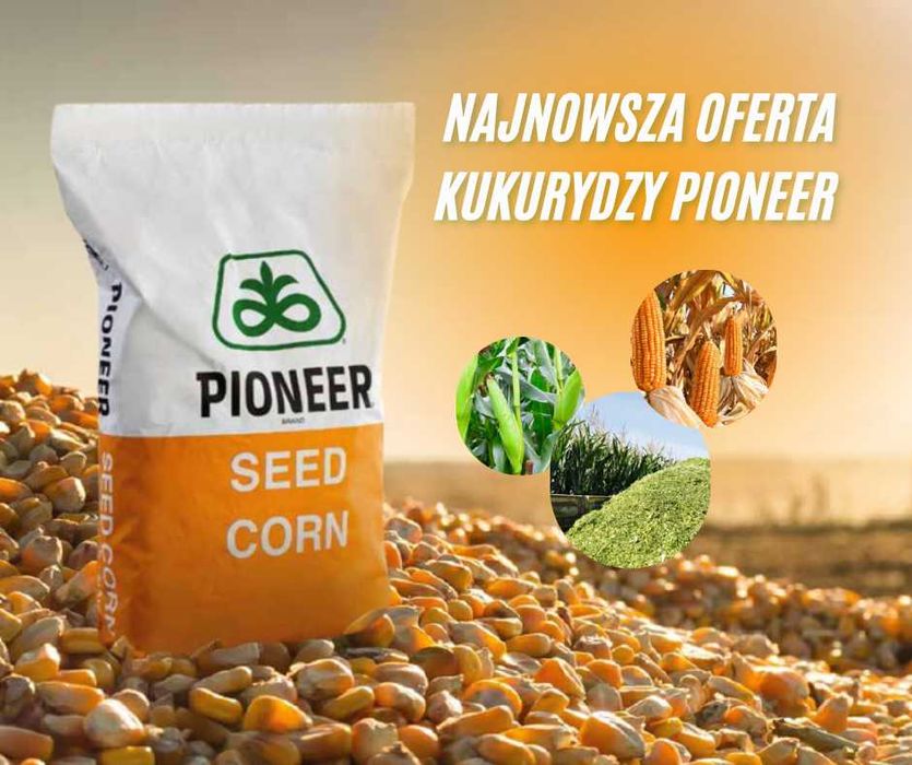 Nasiona kukurydzy Pioneer oficjalny dystrybutor