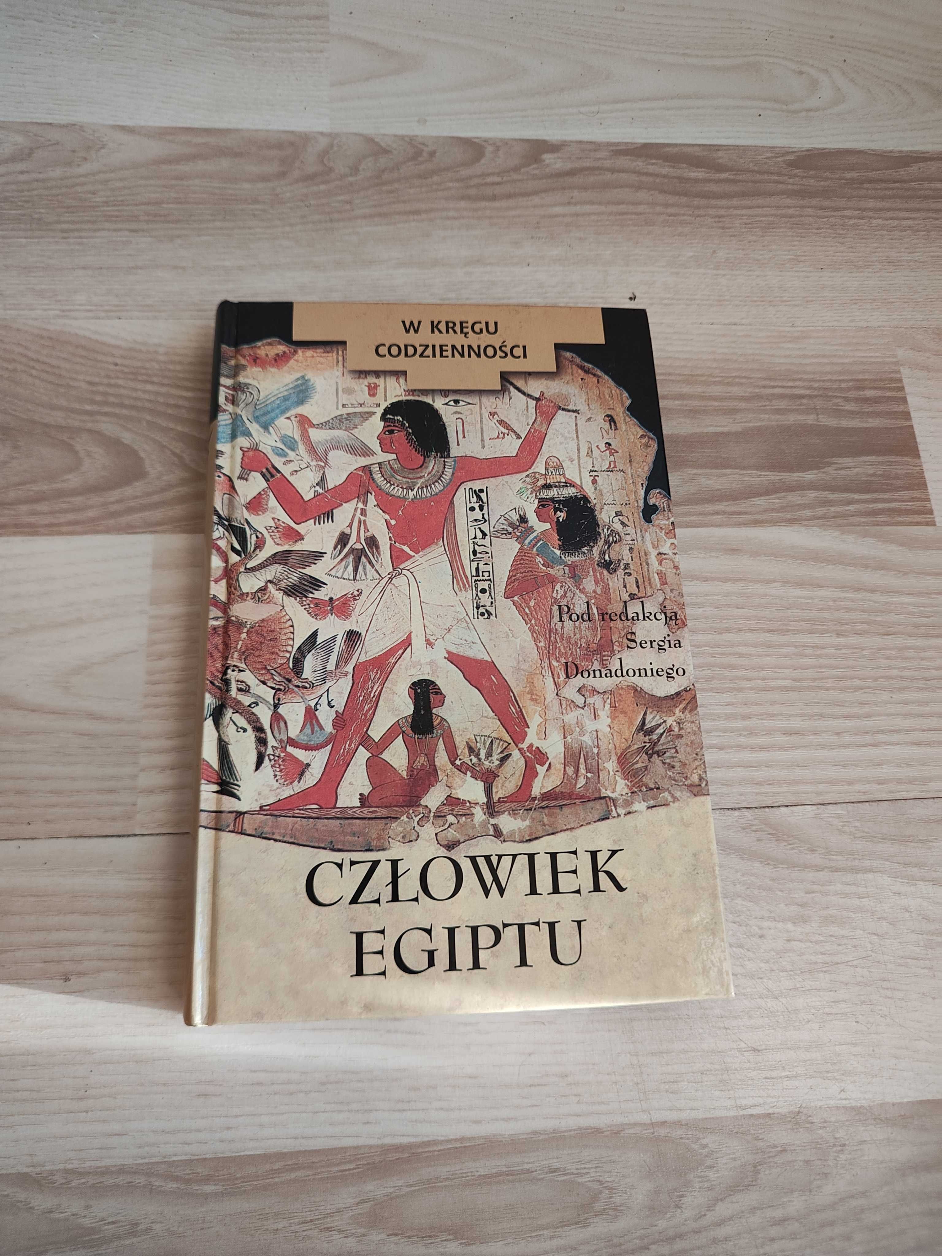 Człowiek Egiptu W kręgu codzienności Sergio Donadoni