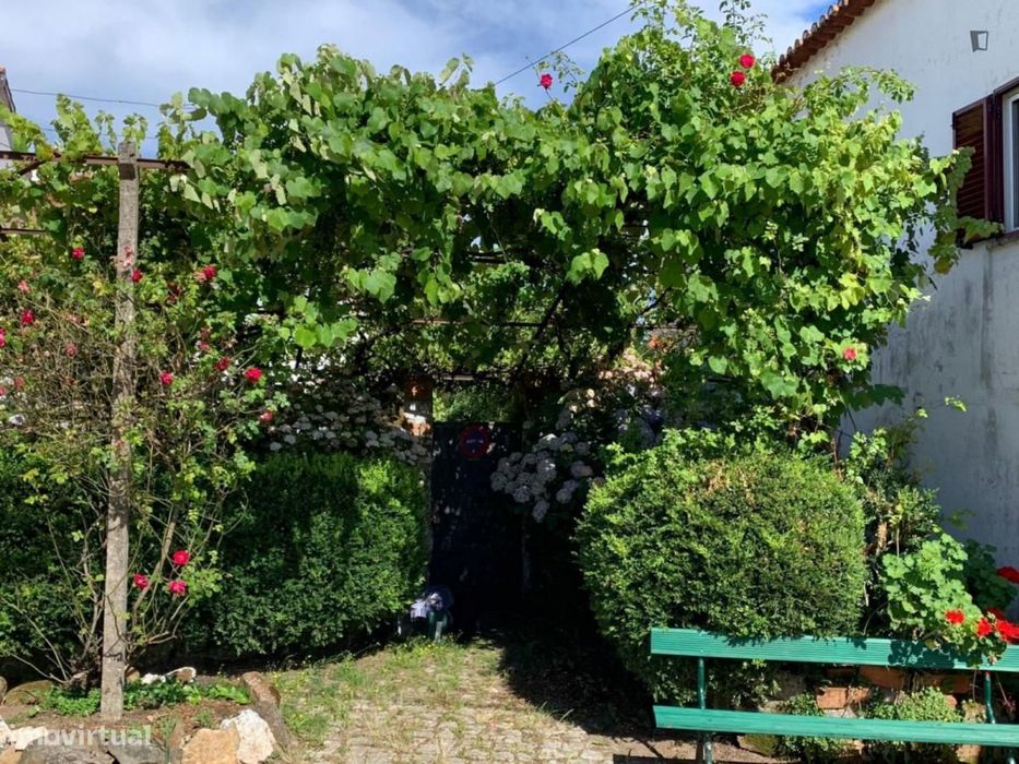 Casa com 3 quartos - localizado em Leiria