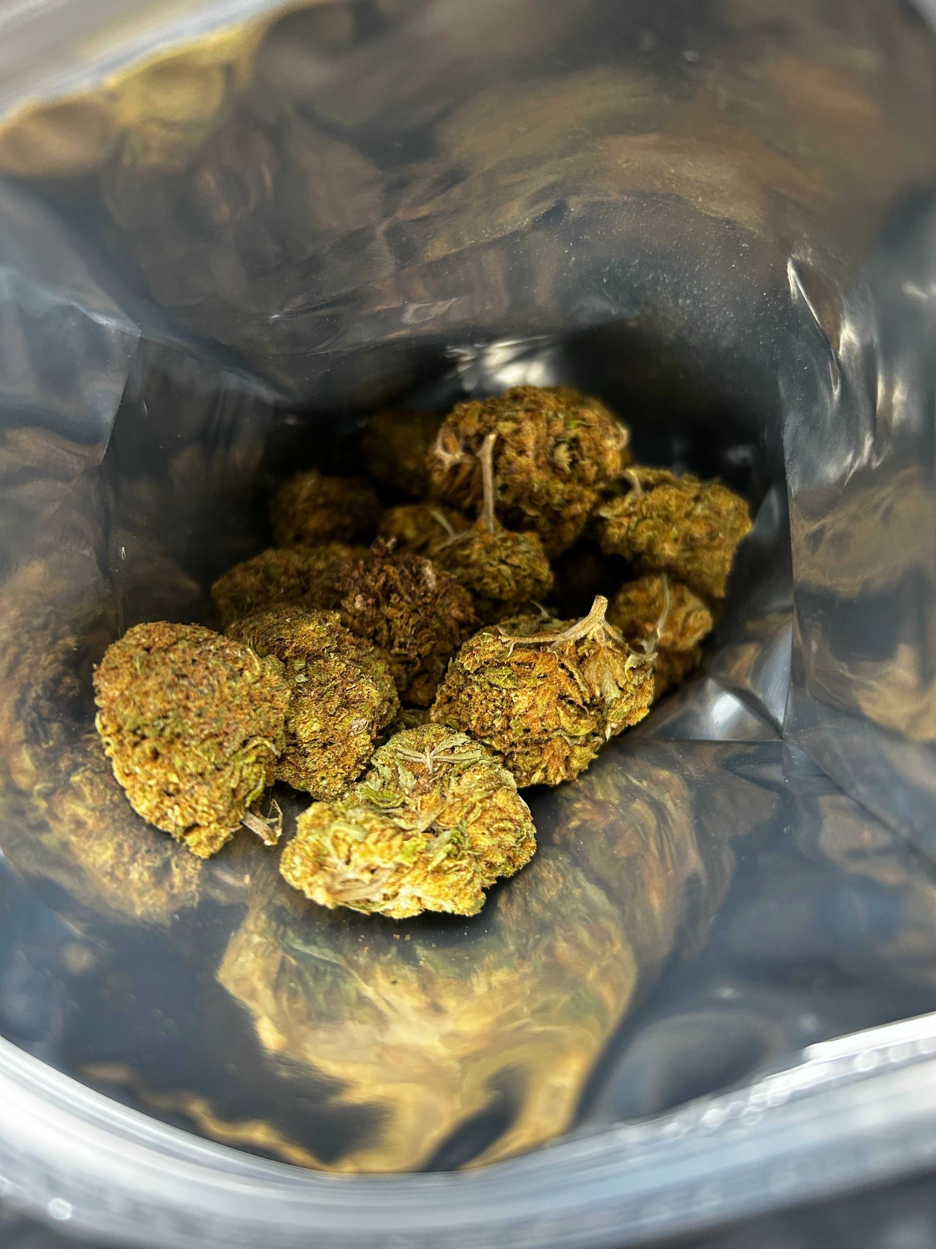 LEMON HAZE 100G Susz Konopny CBD Trim Trym PREMIUM Full Spectrum Weed