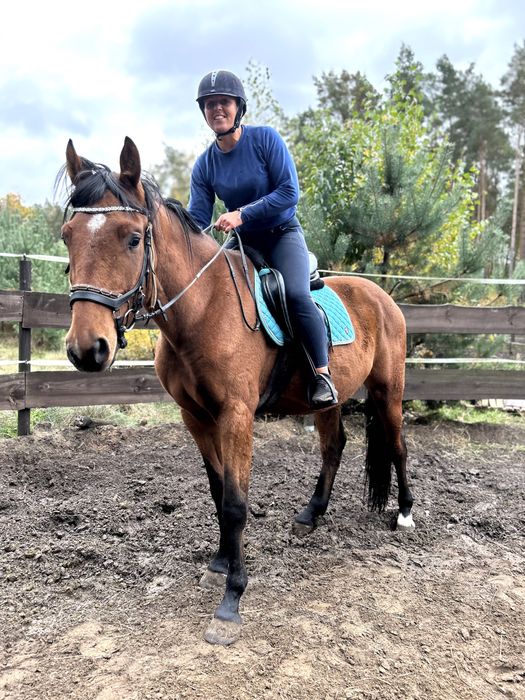 NEON LIFE 3 letni walach