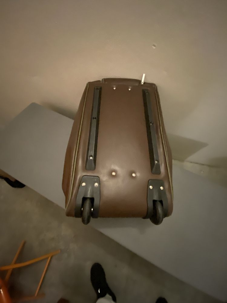 Mala castanha de rodas e pega para se puchar