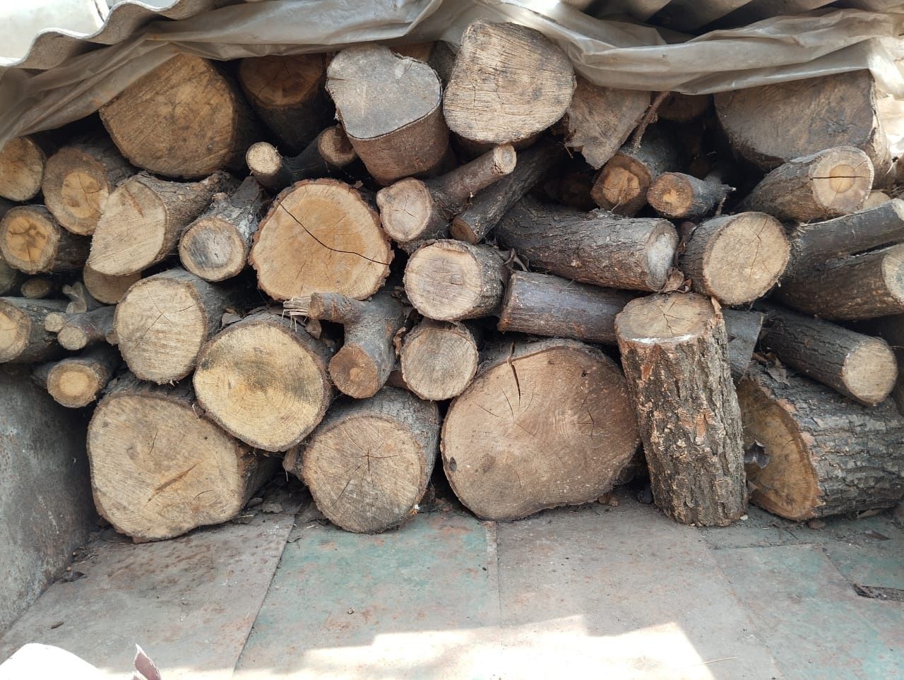 Продам дрова твердой породы