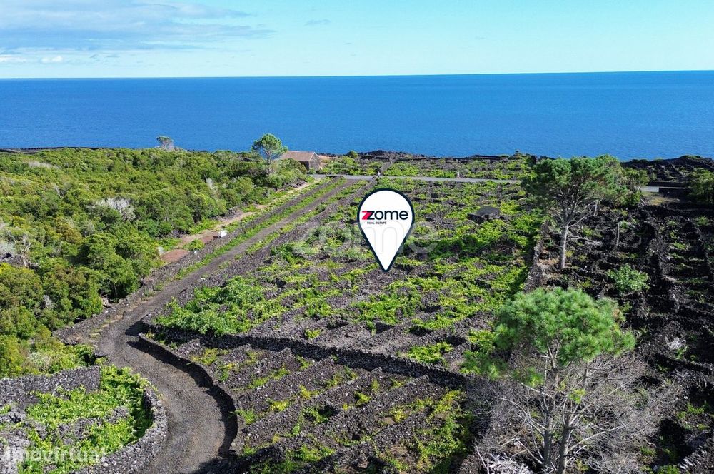 Terreno de vinhas com 2835m2, em São Caetano na Ilha do Pico