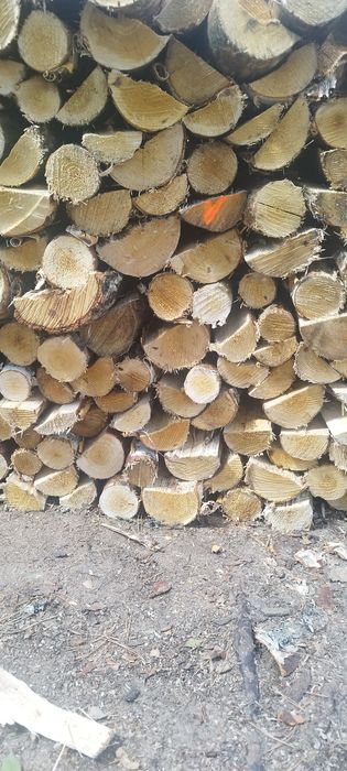 Drewno opałowe brzoza