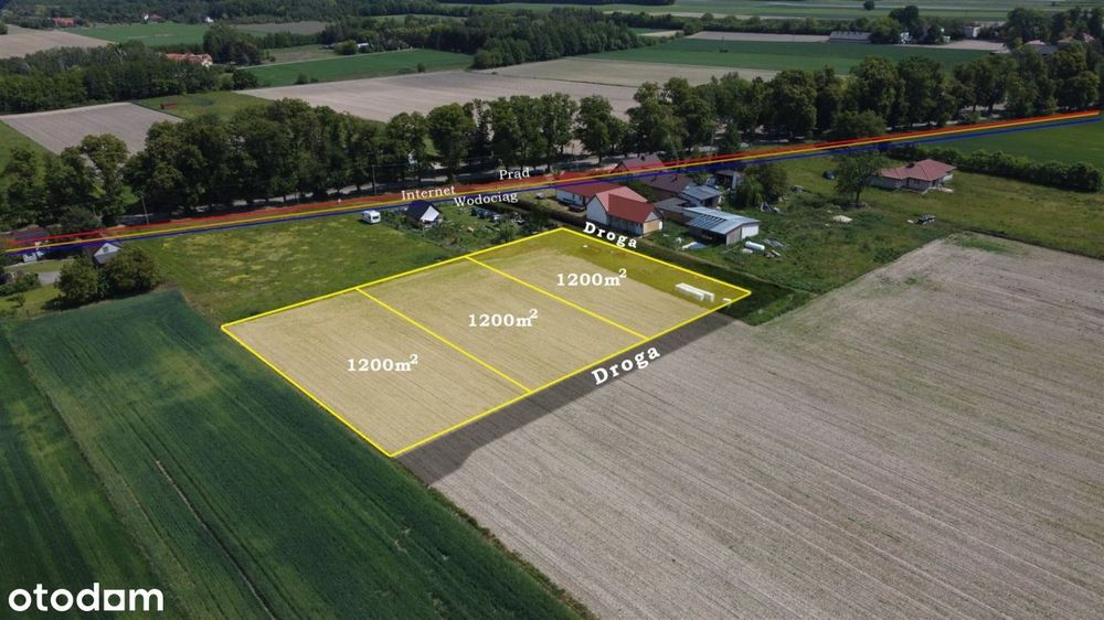 Zamieszkaj blisko natury,obok Puszczy Kampinoskiej