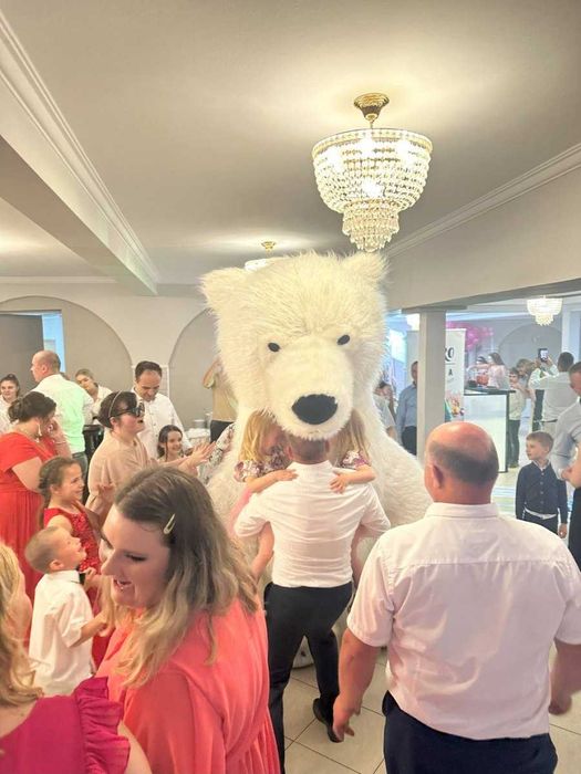 DJ, Prezenter muzyczny, na wesele, BAL, imprezę integracyjną !