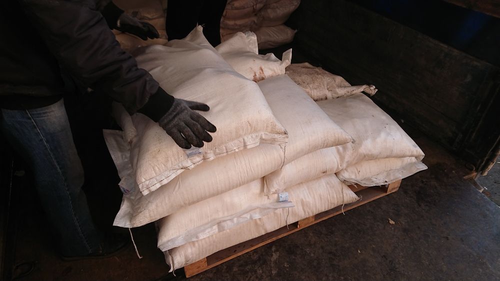 Цукор  в мішках 50 кг сахар мука з доставкою