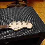 Fender Squier Neck (Novo)