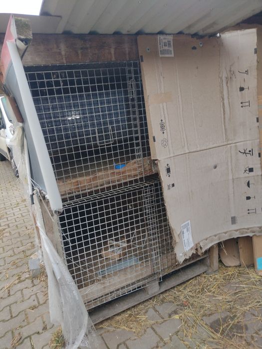 Klatki dla ptaków królików