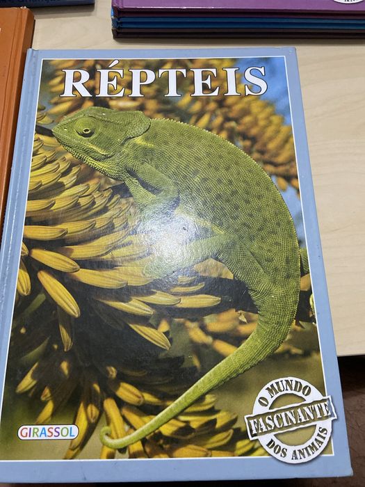 Livro o mundo fascinante dos animais