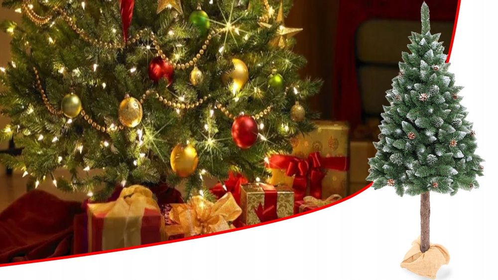 Przepiękna choinka na pniu jak żywa,gęsta,zielona,oszroniona,szyszki.