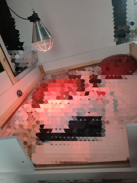 Porodówka / kojec dla psa , użyta raz .