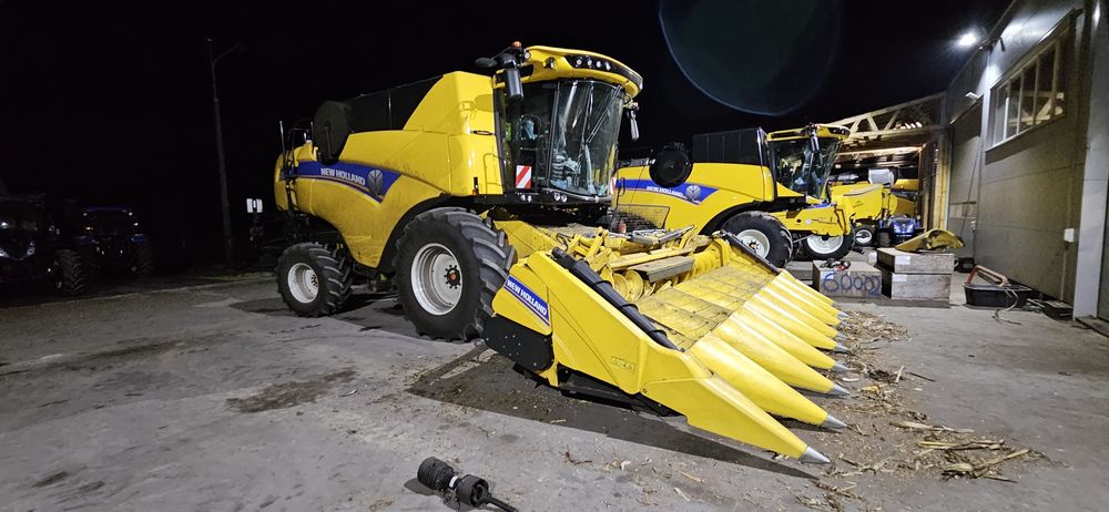 Koszenie kukurydzy. Skup kukurydzy mokrej. Cena 480 netto.