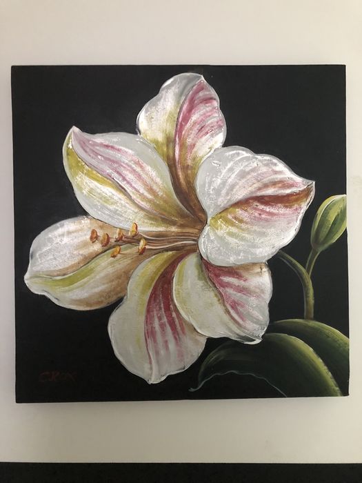 2 Quadros de 50x50cm