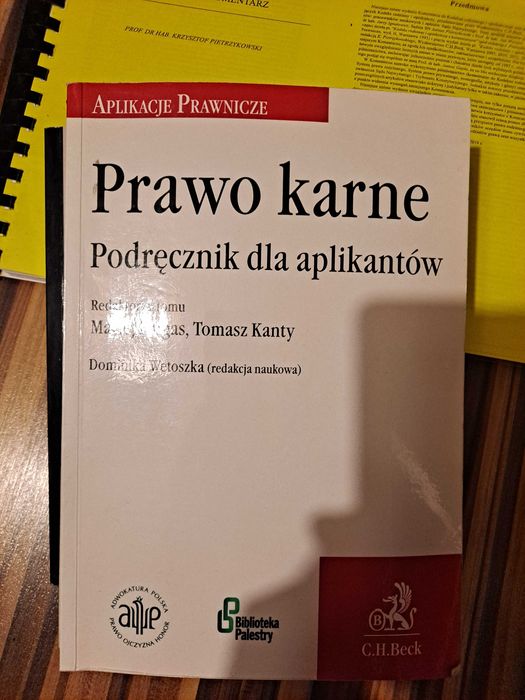 Prawo karne podręcznik dla aplikantów