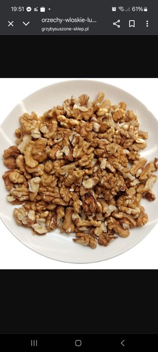 Orzechy włoskie łuskane 7kg radek