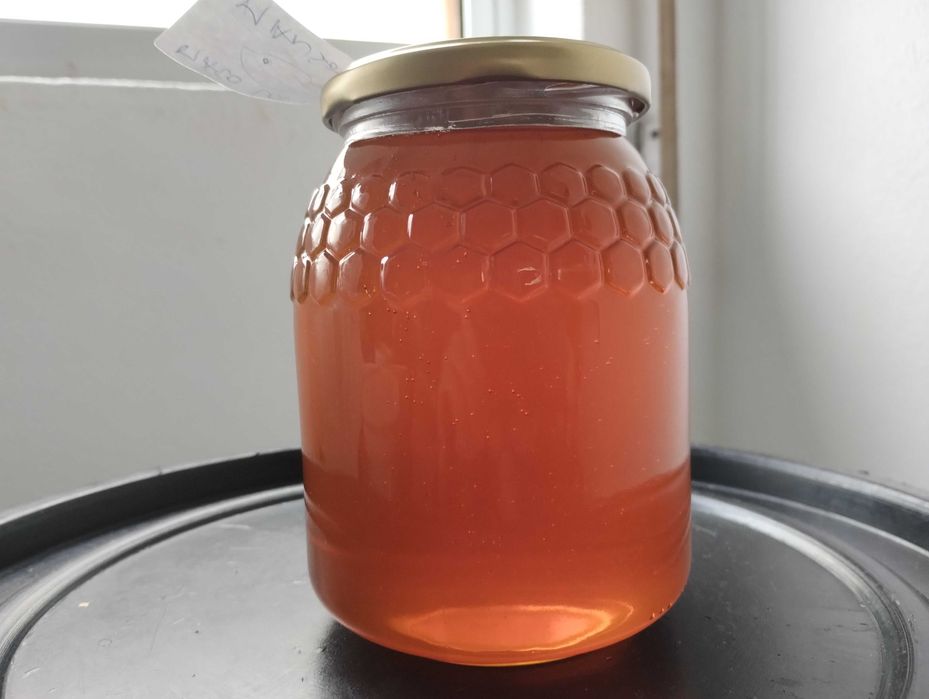 Mel da Região de Arouca