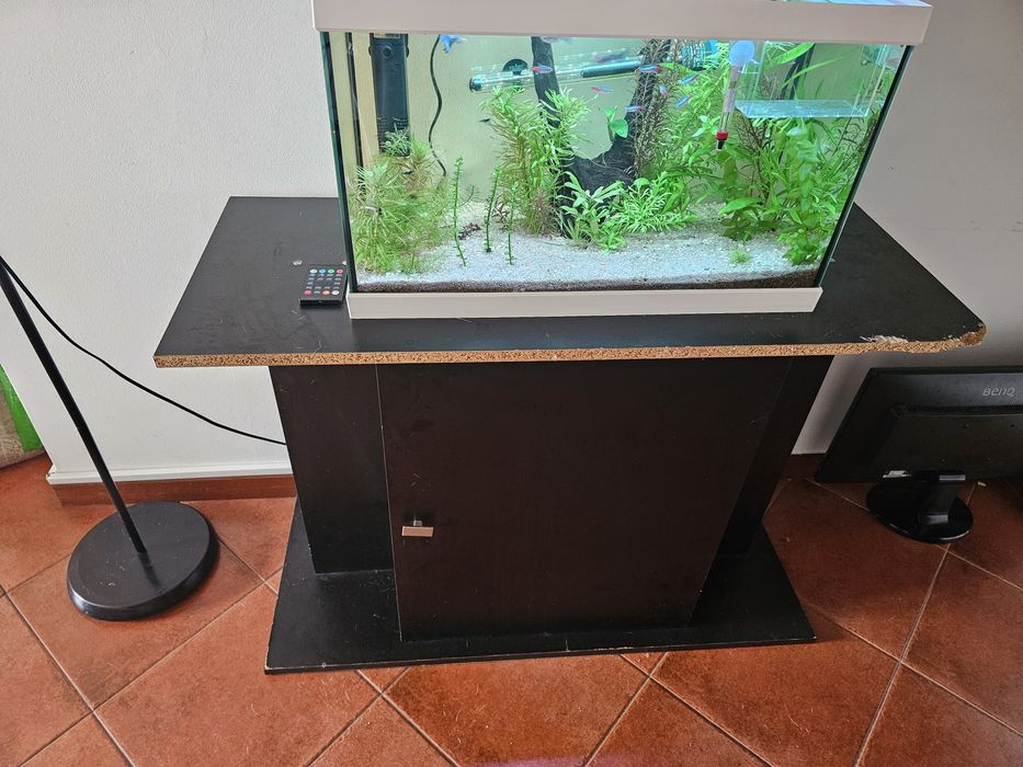 Aquário AquaPop ECO 60