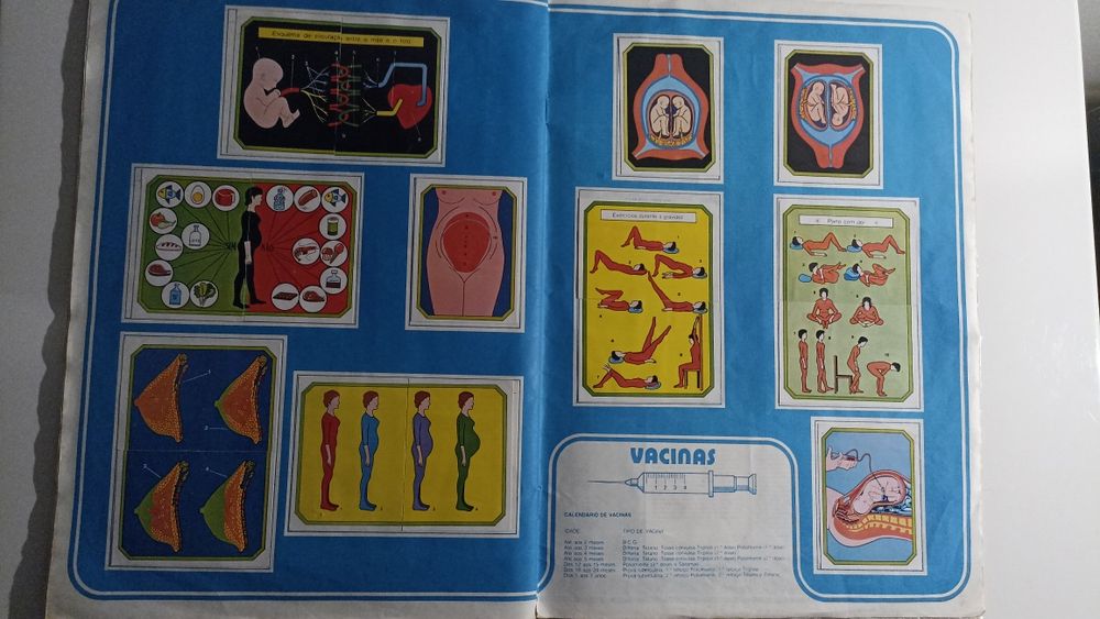Caderneta Anatomia coleção didática de 240