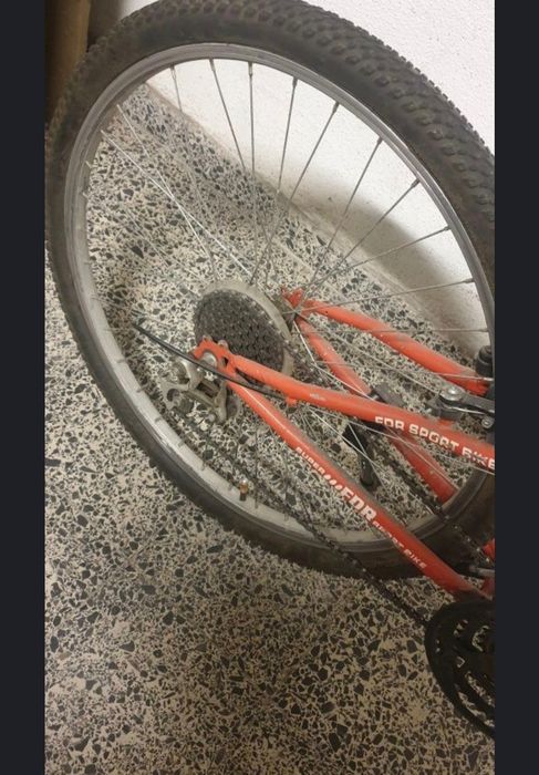 Desportivas com boa situação