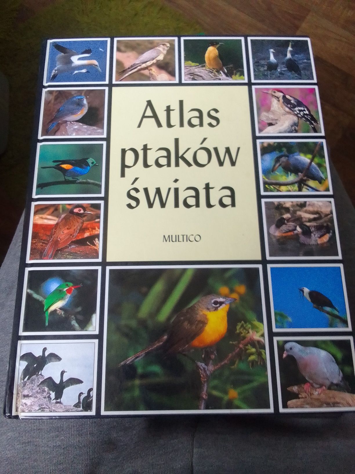 Atlas ptaków świata multico 2000r