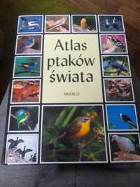 Atlas ptaków świata multico 2000r