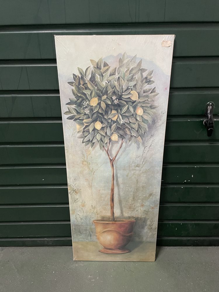 Quadro limoeiro NOVO