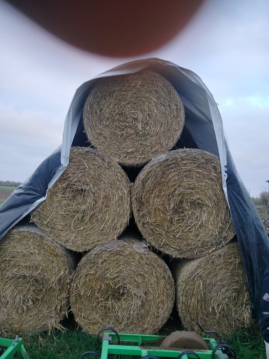 Sprzedam słome po prasie zmiennokomorowej