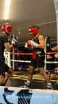 Aulas de boxe ao domicilio ou em locais publicos